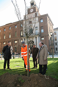 La piantumazione dell'albero nel giardino di largo Gemelli alla presenza del direttore di sede Mario Gatti (a destra)