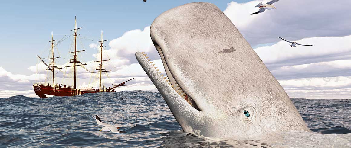 Melville, duecento anni sulle tracce di Moby-Dick