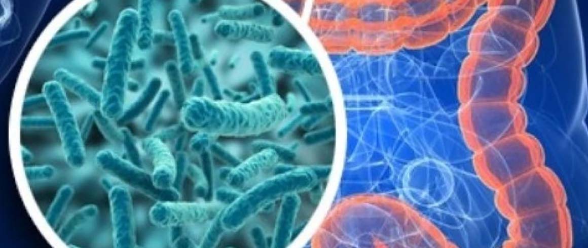 Il microbiota predice i tumori