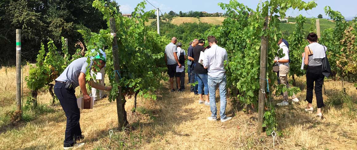 A Castell'Arquato, i Demo Days per l'innovazione in agricoltura