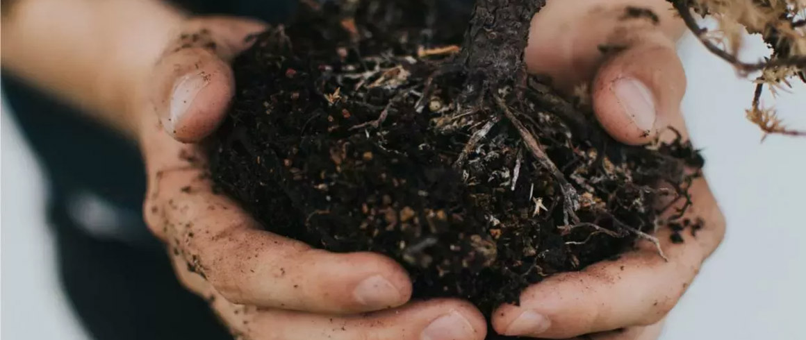 “Distanziamento”. La terra fertile, dove germoglia la vita.