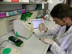 Un momento della ricerca sulle piastrine. Lorenzo Bomba, dottorando Agrisystem, al lavoro in laboratorio