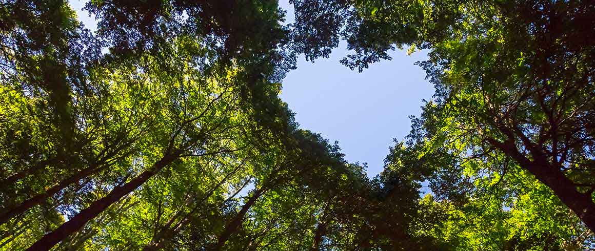 Le buone prassi dell’ecologia integrale