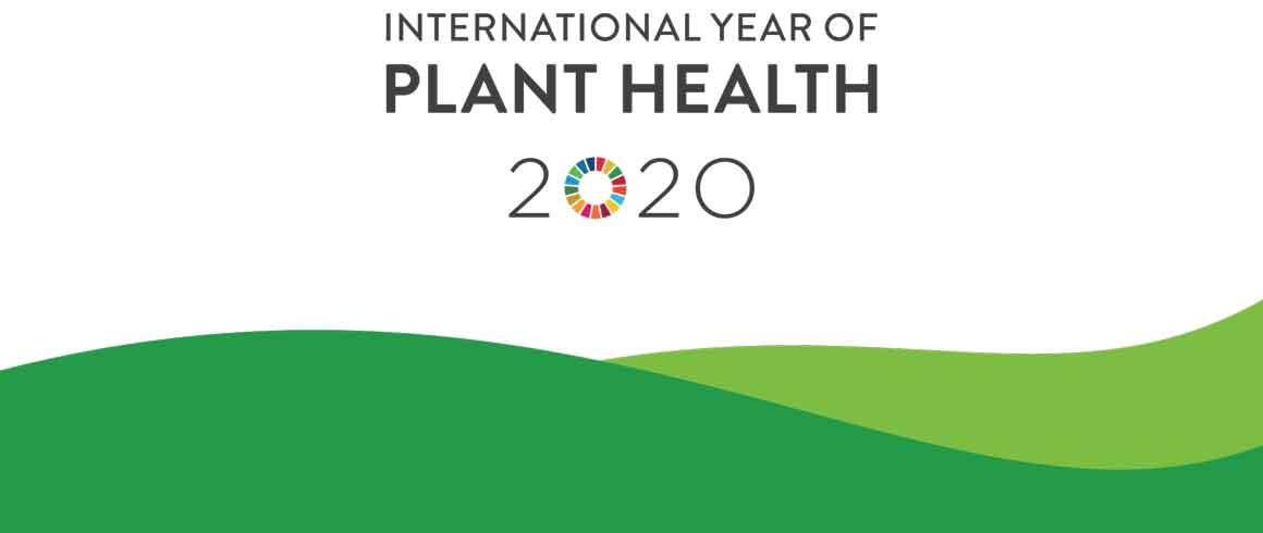 Plant Health 2020: la Cattolica c’è