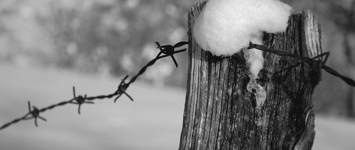 Anche in collegio si fa memoria