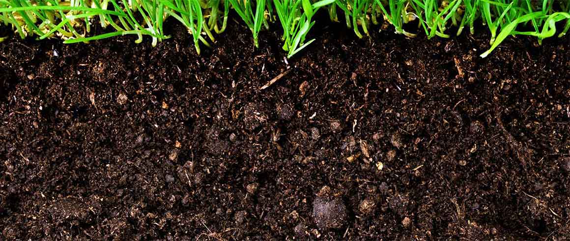 From seed to spoon a scuola di biodiversità