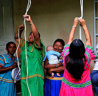 "&copy; Davide Gelli, All Rights Reserved."