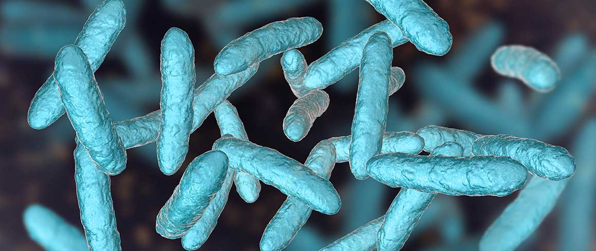 Una regolamentazione per la banca del microbiota intestinale