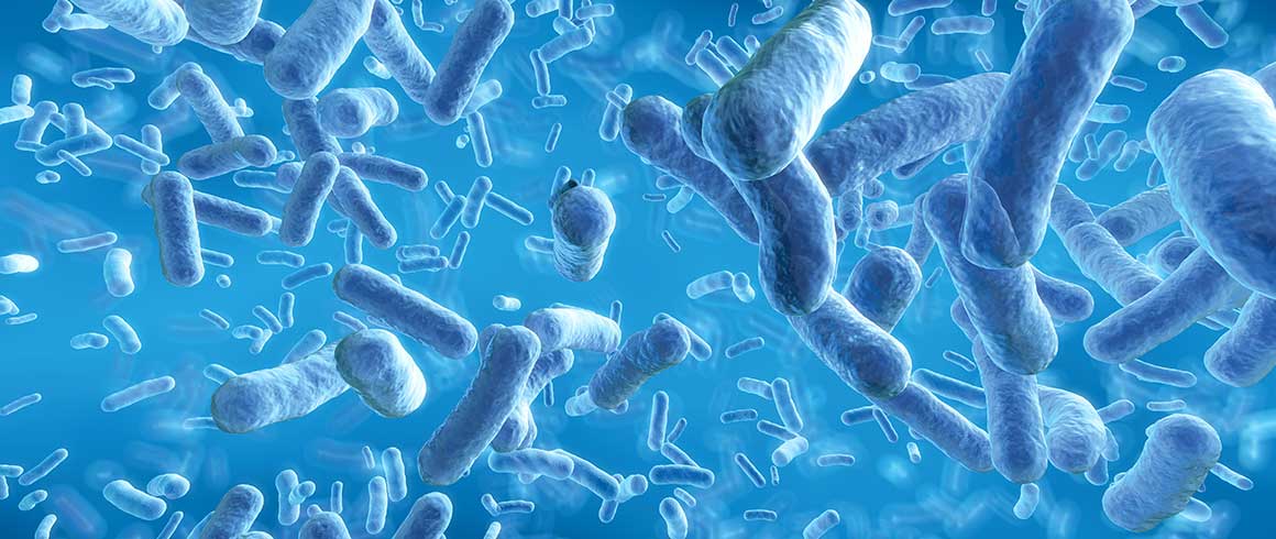 Trapianto di microbiota, scoperta eccezionale