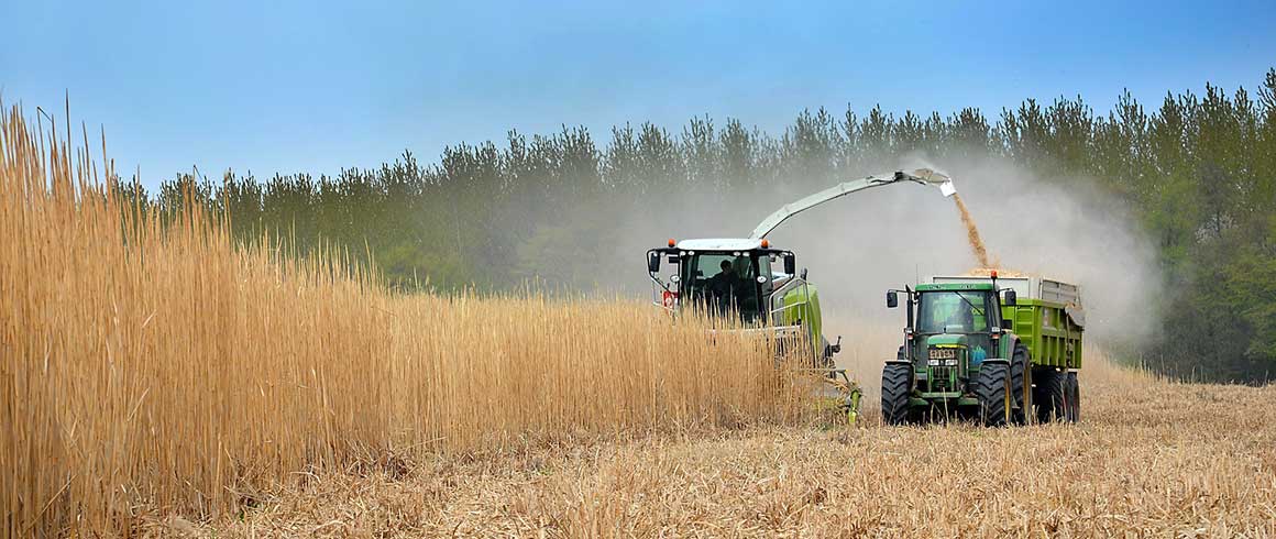 Giornate dimostrative Trainagro