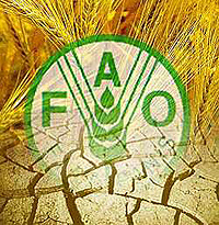 Fao, sicurezza alimentare